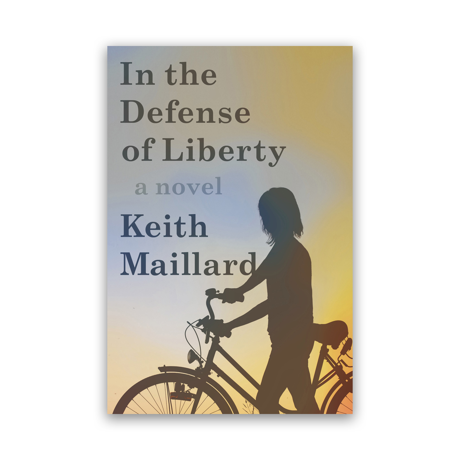 Book cover for IN THE DEFENSE OF LIBERTY by Keith Maillard